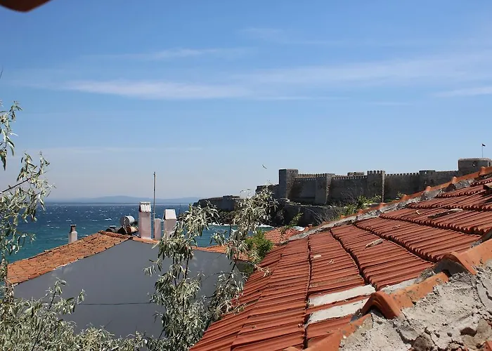 Risus 博兹贾阿达岛